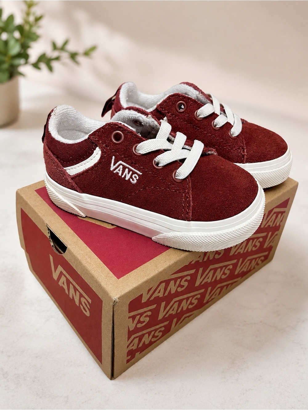 Vans Boys Seldan Low Top Sneakers Brick Red TD 4.5 New in Box